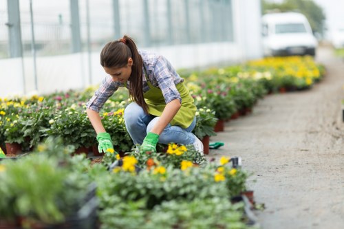 Clean and organized garden after professional clearance