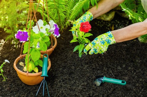 Professional tree lopping services in Norwood
