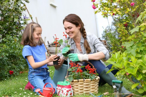 Flourishing sustainable garden maintained by Gardening Norwood