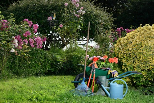 Lush Norwood garden with diverse plant species