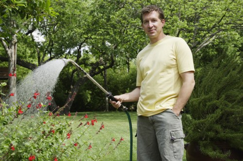 Well-mowed lawn in a Norwood residential area