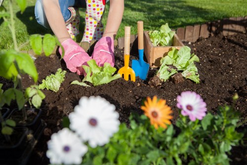 Diverse plant selection for a Norwood landscape