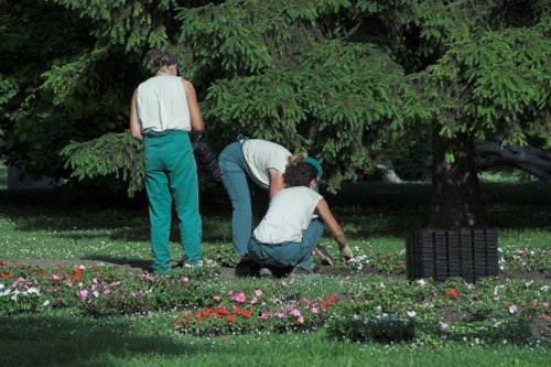 Seasonal hedge trimming techniques being applied