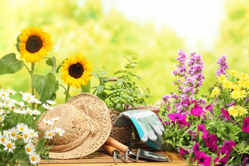 Eco-friendly lawn mowing practices
