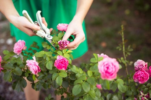 Environmental benefits of sustainable tree removal