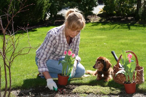 Team member speaking with a visitor about accessible gardening arrangements