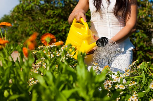 Drip irrigation system in Norwood garden