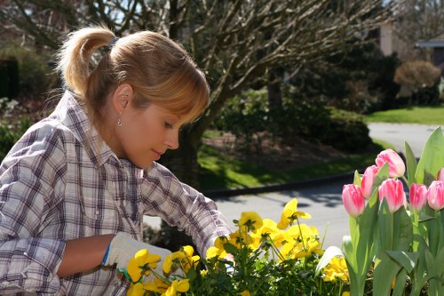 Seasonal lawn mowing techniques for spring
