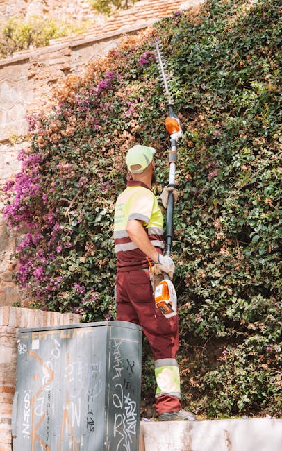 A man wearing a blue t-shirt and jeans is engaged in hedge trimming within a lush garden scene managed by Gardening Norwood. He is using an electric hedge trimmer to carefully shape a tall, dense hedg